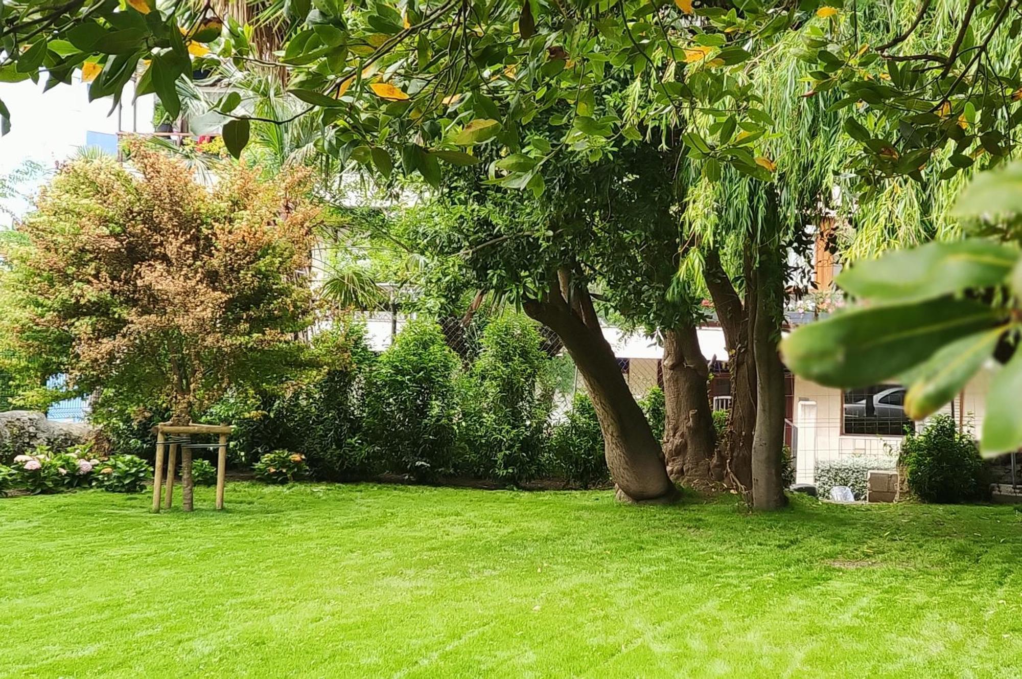 Le Petit Appartement *